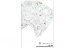 Plano del  terreno conocido como "Castañar" destinado a constituir una reseva de flora y fauna.